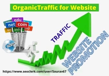I will bring targeted organic web traffic on social media