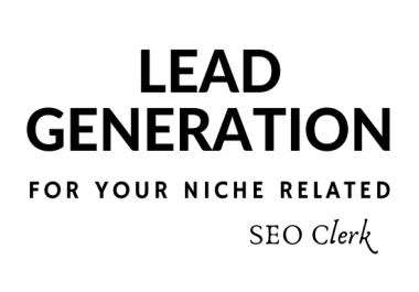 I Can Do Your B2B Lead Generation For Your Niche Related.