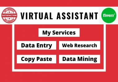 I will be your virtual assistant for any task