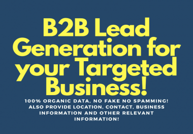 I will do B2B Lead Generation for your niche targeted business