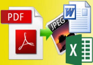 I will do data entry from PDF file to excel,  word