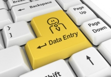 i provide data entry typing, copy paste tasks, offline/online.