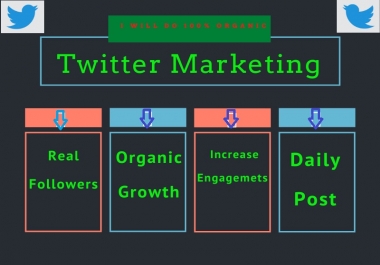 I will do professionally twitter marketing and promotion with growth
