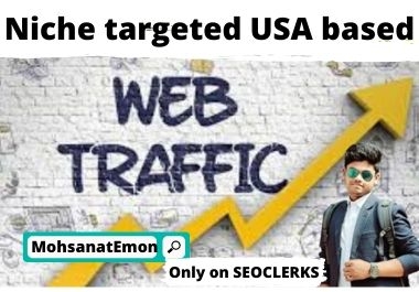 Niche targeted USA based web traffic.