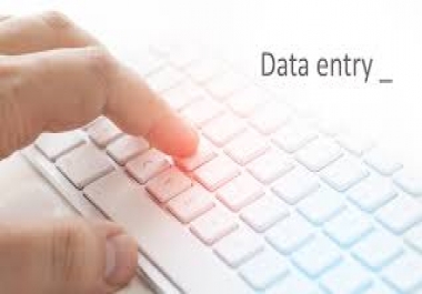I will give you data entry work very fast