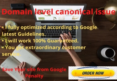I will do Domain level canonical issue