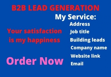 I will do b2b Lead Generation,  web research and Data entry