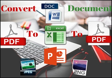 I will convert PDF to word,  PDF to excel,  image/scanned page to word/excel/notepad data entry work