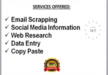 I will be your virtual assistant for fastest data entry and data research.
