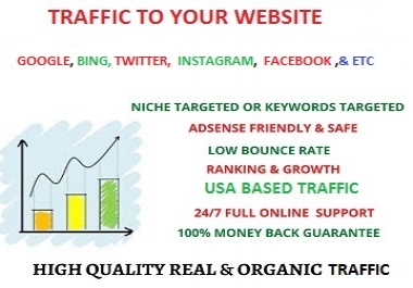 Get 100 traffic to your website form Google,  Bing,  YouTube,  Twitter,  Instagram,  and many more