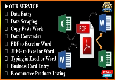 I will do data entry,  copy paste,  web scraping and excel data entry