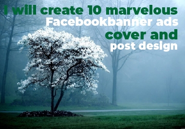 I will create 10 marvelous Facebook banner ads,  cover and post design