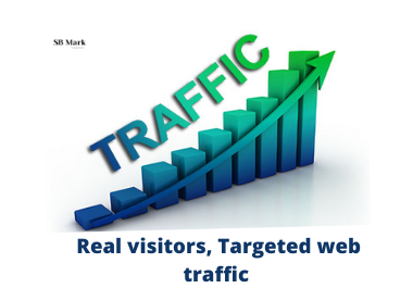 I will provide real visitors,  targeted web traffic
