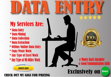 Data Entry,  Data Mining,  Copy Pasting,  Formatting,  Word,  Excel