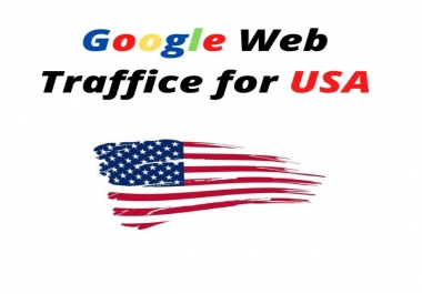 Google Targeted Web Traffice for USA