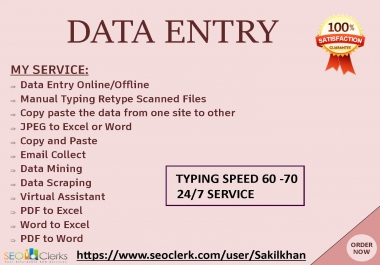 I will be your virtual assistant for online and offline data entry jobs
