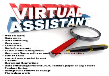 fill in as a Virtual Assistant for as much as you require.