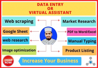provide data entry, typing work, excel, and virtual assistant job