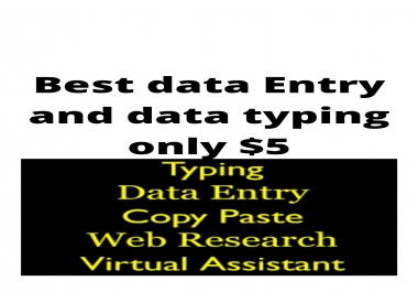 Best data Entry and data typing and editing