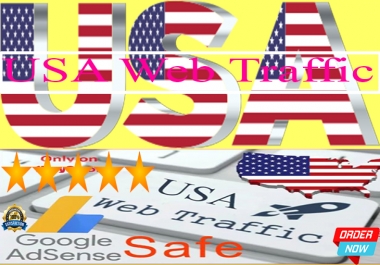 USA web traffic for your website in time