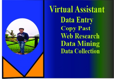 be your virtual assistant for data entry,  typing,  copy paste