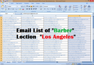 I will provide targeted email list from targeted place in less time