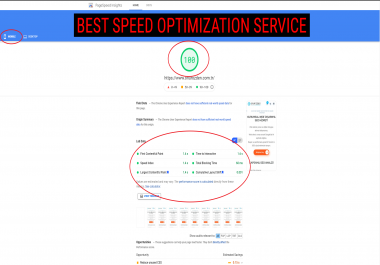 l will increase wordpress speed for google pagespeed core web vitals