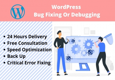 I will fix or debug 1 WordPress website issue,  critical error quickly