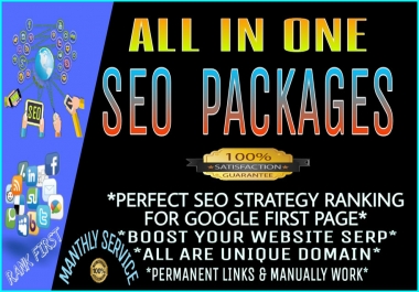 All in One monthly SEO service Boost your website Google 1st Page