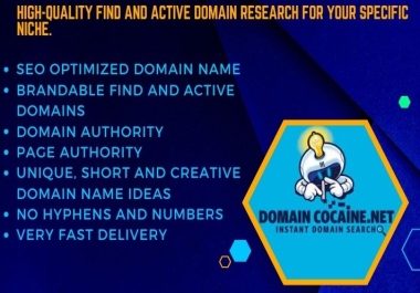 High quality find and active domain research for your specific niche.
