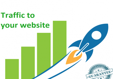 REAL WEBSITE TRAFFIC from Search Social Media