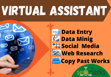 I will be your ideal virtual assistant for data mining data entry data scraper and copy past