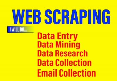 I will do data entry,  web scraping,  web research,  and data mining