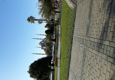 I will provide social media content for you