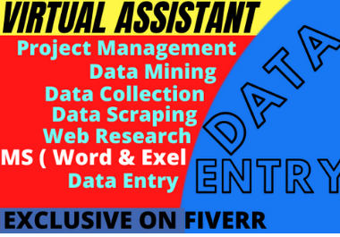 I will do your virtual assistant for data entry and web research