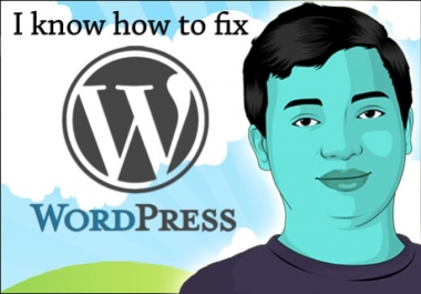 I will fix your wordpress issues or errors