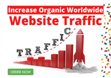 I will drive organic 15000 worldwide web traffic to your website