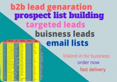 I will be your virtual assistant for b2b lead generation