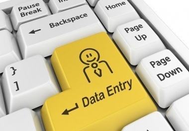 I will be your virtual assistant for dataentry,  data conversion and copy paste work