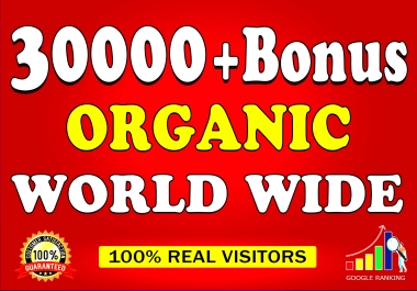 Drive 30000+ Organic Web Traffic World Wide for Google Top Ranking