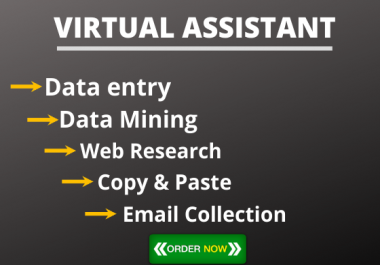 I will be your Virtual Assistant for data entry, copy paste and web research