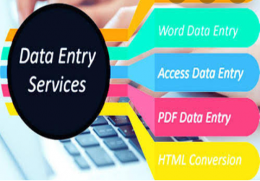 I will do excel data entry, word data entry, copy paste, typing and data entry