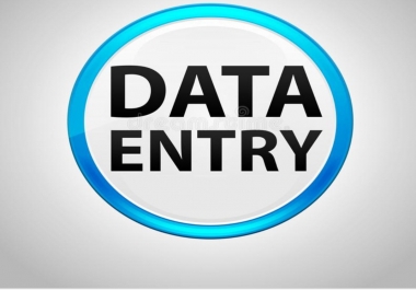 Expert in Data entry and programming services