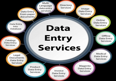I will do professional excel data entry,  copy-paste,  typing,  data management