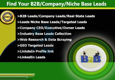 I will do provide targeted b2b lead generation and sales leads
