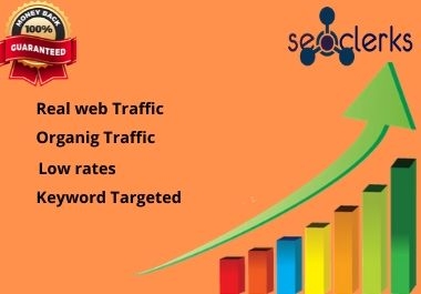 I will bring organic web traffic