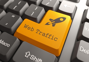 Real web traffic for 30 days to your website by social media marketing