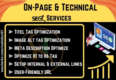 Provide On-page and Technical SEO services for Your Websites