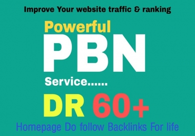 build 50 DR 60 to 80 high quality PBN dofollow backlinks for seo