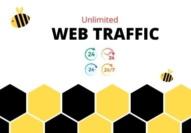 Niche targeted and best web traffic